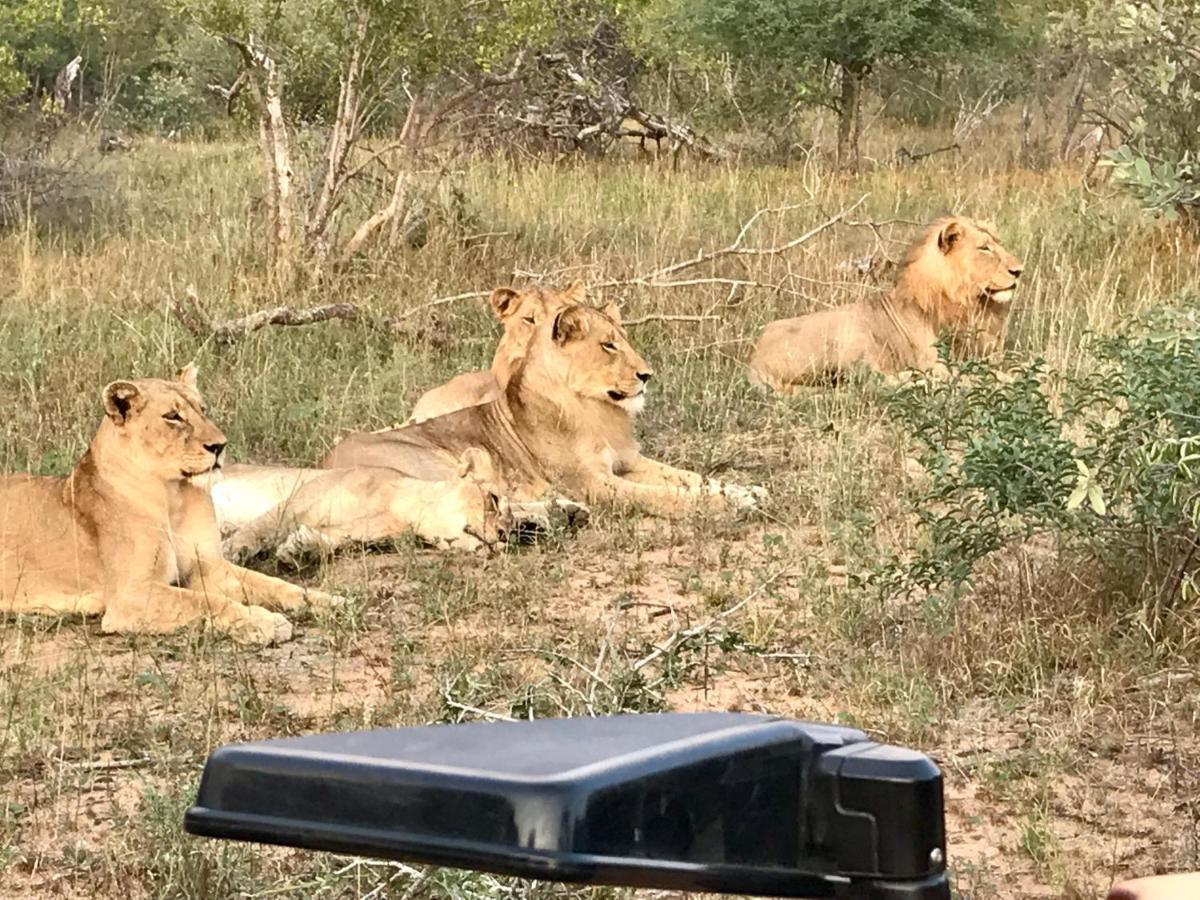 Sausage Tree Safari Camp Balule Wildreservaat Buitenkant foto