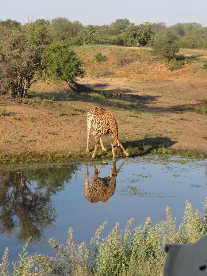 Sausage Tree Safari Camp Balule Wildreservaat Buitenkant foto