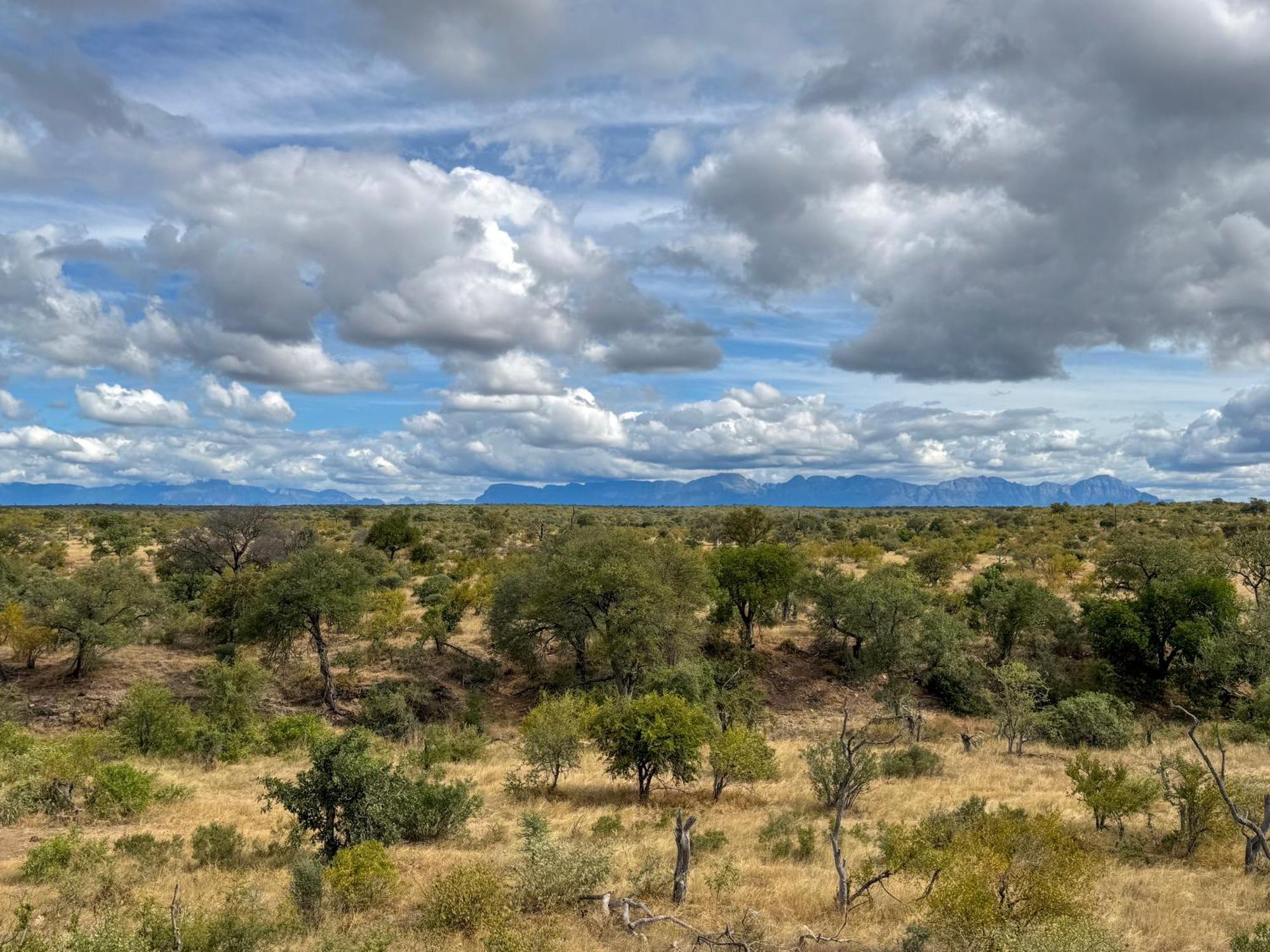Sausage Tree Safari Camp Balule Wildreservaat Buitenkant foto