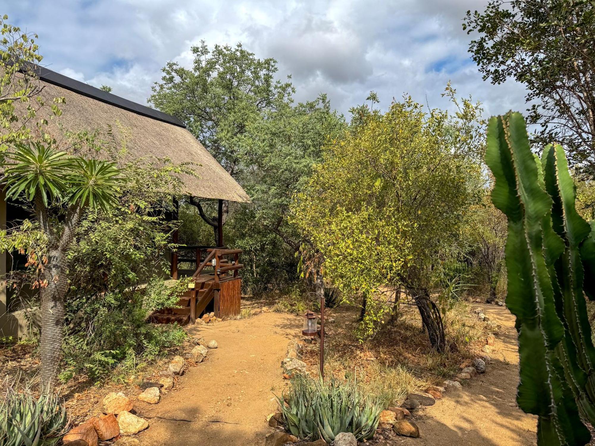 Sausage Tree Safari Camp Balule Wildreservaat Buitenkant foto