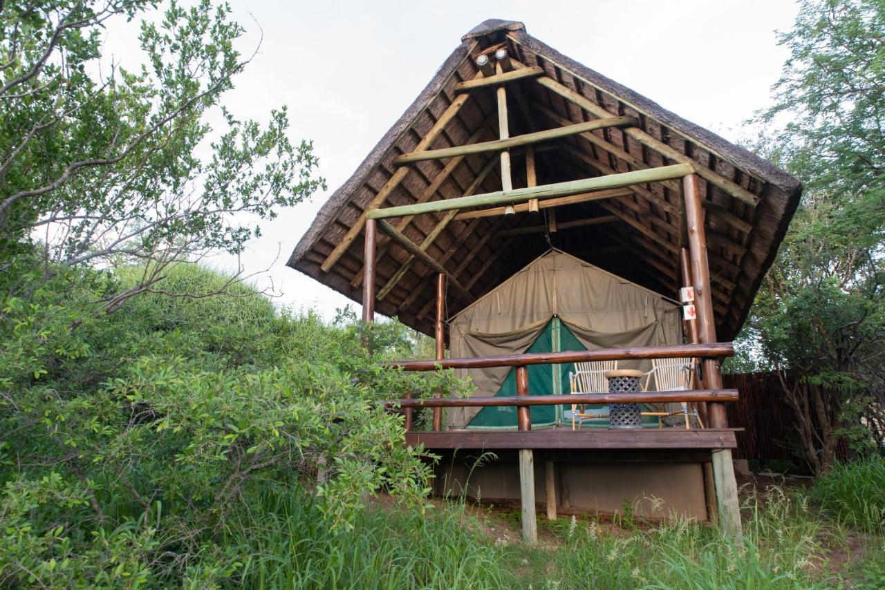 Sausage Tree Safari Camp Balule Wildreservaat Buitenkant foto